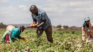 Agricultural Sector Cooperation